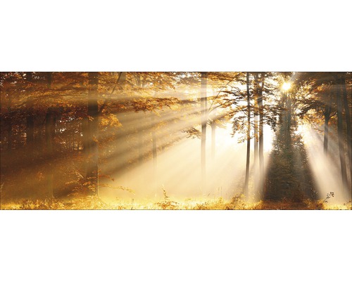 Scène de forêt avec des rayons de soleil perçant à travers les arbres