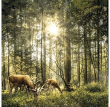 Glasbild Deers in the forest 20x20 cm