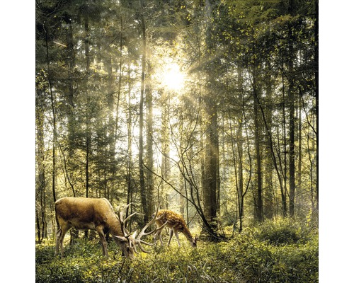 Tableau en verre Deers in the forest 20x20 cm