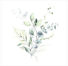 Aquarellbild von Eukalyptus und Blättern