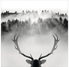 Glasbild King of the Forest 20x20 cm