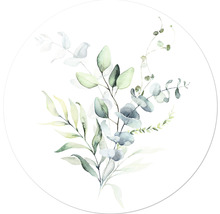 Aquarell Darstellung von Eukalyptusblättern