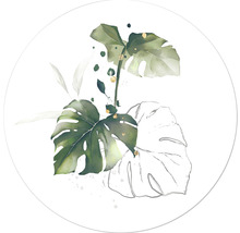 Illustration von Monstera Blättern