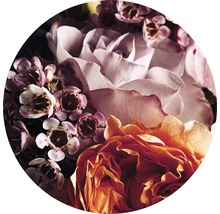 Nahaufnahme von Rosen und kleinen Blüten