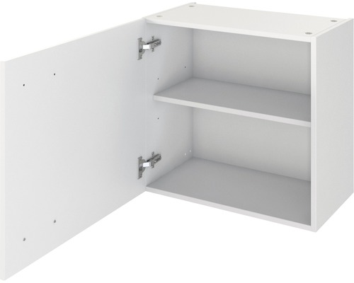 Geöffneter Hängeschrank mit zwei Einlegeböden