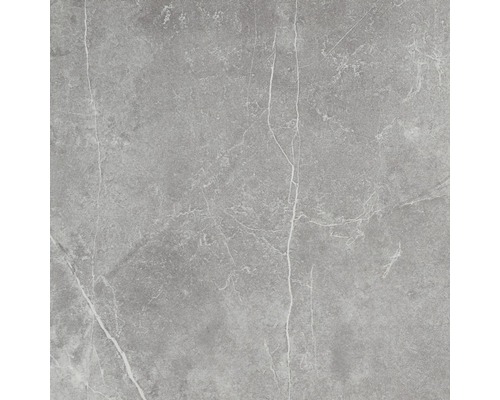 Feinsteinzeug Wand- und Bodenfliese Discreet 80 x 80 x 0,97 cm gris poliert