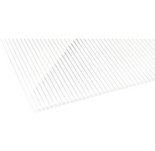 Panneau alvéolé/Entretoise Gutta en polycarbonate 20-16 ZEBRAPLATTE blanc 6000 mm x 980 mm x 16 mm