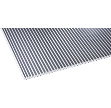 Panneau alvéolé/Entretoise Gutta en polycarbonate 20-16 ZEBRAPLATTE anthracite 3500 mm x 980 mm x 16 mm