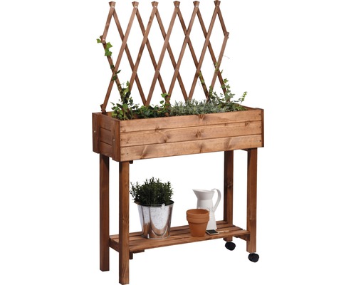 Jardinière sur Pieds avec Treillis en Bois de Sapin 45x45x80,5 CM Potager  Cylindriques de Surélevée pour Extérieur/Intérieur - Costway