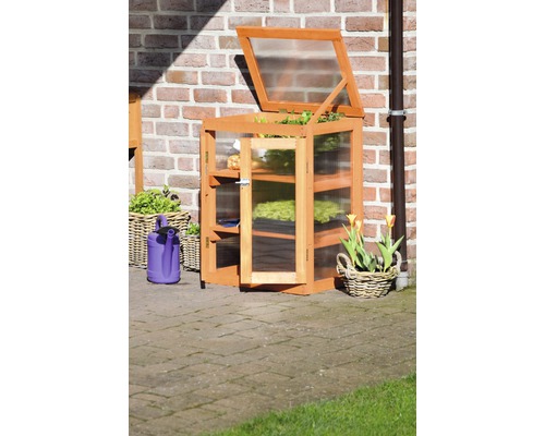 Kleines Gewächshaus aus Holz mit Regalen und geöffneter Tür, daneben Gießkanne und Korb mit Blumen