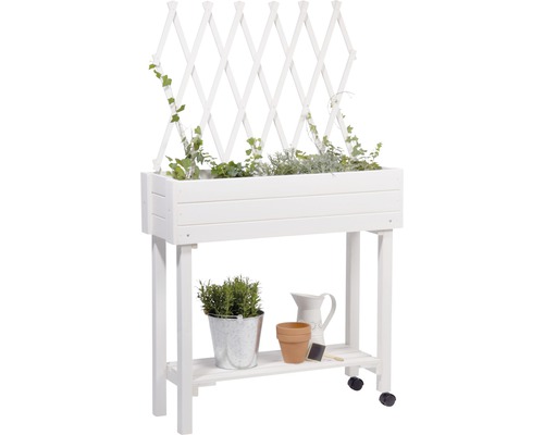 Treillis 4 pièces pour plantes grimpantes d'intérieur, treillis de plantes  d'intérieur de jardin en métal de 38 cm pour plantes en pot d'extérieur