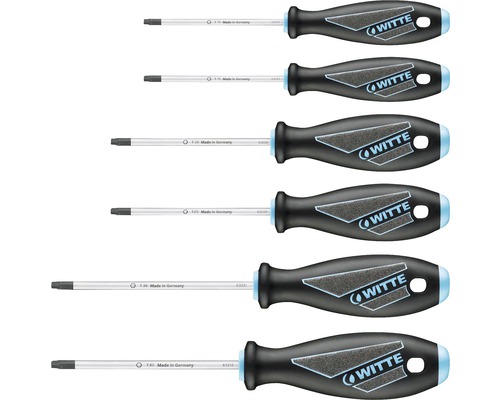 Jeu de 6 tournevis MAXX PLUS 6 x Torx