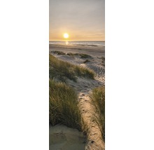 Dünenlandschaft am Strand bei Sonnenuntergang.