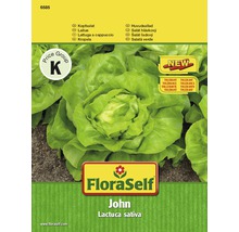 FloraSelf John Kopfsalat Samenpackung