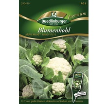 Quedlinburger Blumenkohl Multi Head Saatgutpackung