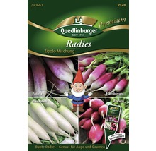 Quedlinburger Radieschen Zipolo Mischung Saatgutpackung