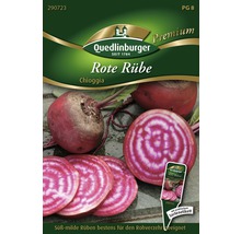 Samenpackung für Rote Rübe Chioggia von Quedlinburger