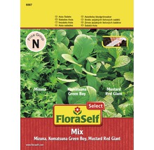 FloraSelf Asia Salat Mix Samenpackung mit Mizuna, Komatsuna Green Boy und Mustard Red Giant