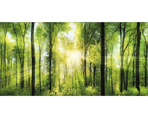 Giclée Leinwandbild Forest Feeling II 60x120 cm