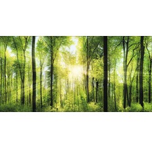 Tableau sur toile giclée Forest Feeling II 80x160 cm