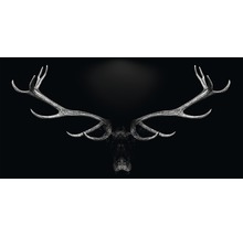Bois de cerf décoratifs sur fond sombre