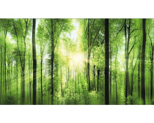 Giclée Leinwandbild Forrest Feeling 60x120 cm