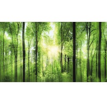 Tableau sur toile giclée Forrest Feeling 80x160 cm