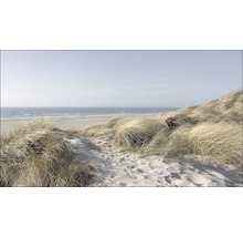 Dünenlandschaft mit Sand und Strandhafer