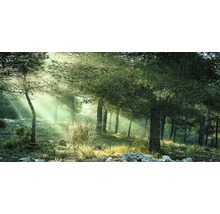 Tableau sur toile giclée Forest Harmony Vl 80x160 cm