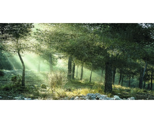 Giclée Leinwandbild Forest Harmony Vl 90x180 cm