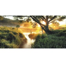 Landschaft mit Bach, Bäumen und Morgenlicht