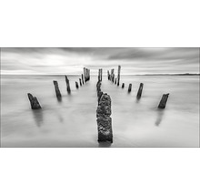 Schwarz-Weiß-Foto von alten Pfählen im Meer