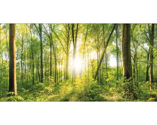 Giclée Leinwandbild Wonderfull forest II 60x120 cm