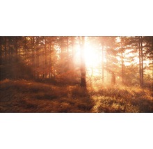 Giclée Leinwandbild Autumn forest III 50x100 cm