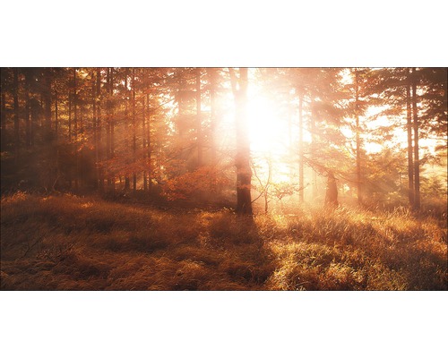 Giclée Leinwandbild Autumn forest III 60x120 cm