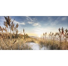 Giclée Leinwandbild Wilder Strand III 90x180 cm