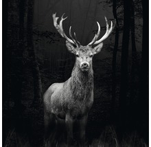 Giclée Leinwandbild Deer 100x100 cm