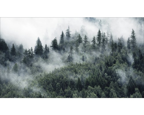 Tableau sur toile giclée Mystic forest VI 60x120 cm
