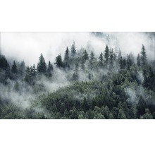 Tableau sur toile giclée Mystic forest VI 80x160 cm