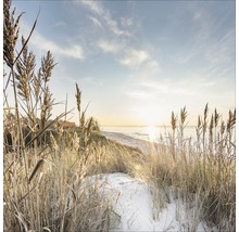 Giclée Leinwandbild Wilder Strand III 100x100 cm