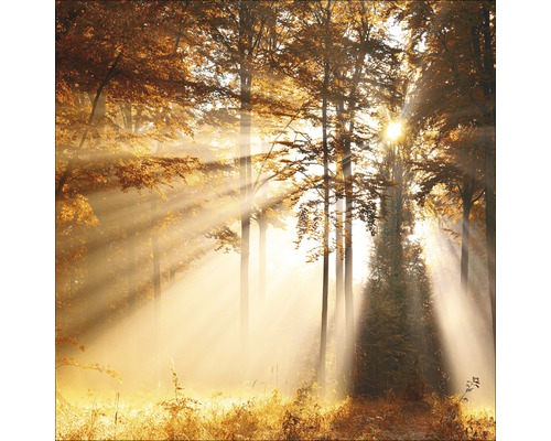 Giclée Leinwandbild Mystic Light III 100x100 cm