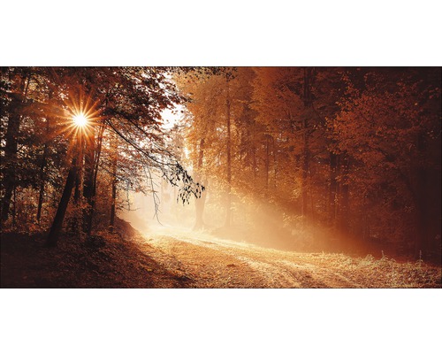 Tableau sur toile giclée Autumn Forest ll 50x100 cm