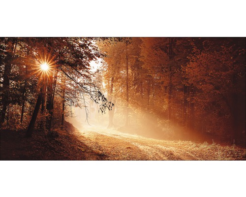 Giclée Leinwandbild Autumn Forest ll 100x200 cm