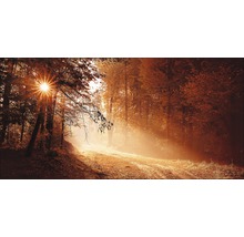 Tableau sur toile giclée Autumn Forest ll 80x160 cm