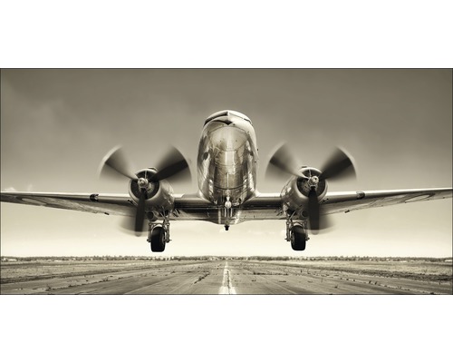 Giclée Leinwandbild Plane III 100x200 cm