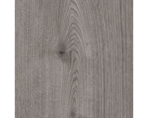 Stratifié 8.0 Ferrara Oak