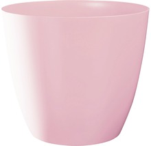 Einzelner rosa Blumentopf