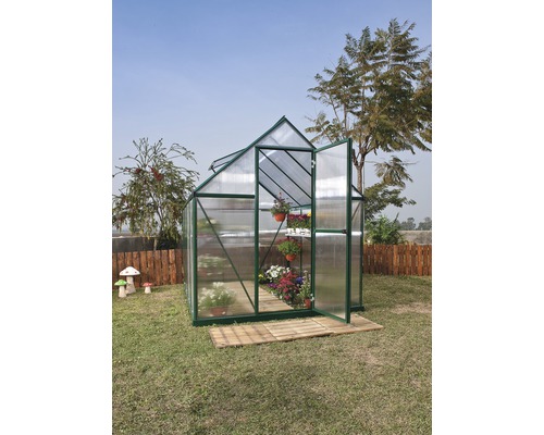 Gewächshaus mit geöffneter Tür und Pflanzen