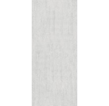 Panneau mural de douche BREUER - béton 255 x 150 cm 9482507000204