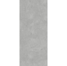 Duschrückwand BREUER Dekor Beton-Optik grau 100 x 210 cm
